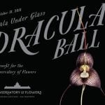 Dracula Ball, Red Carpet Bay Area